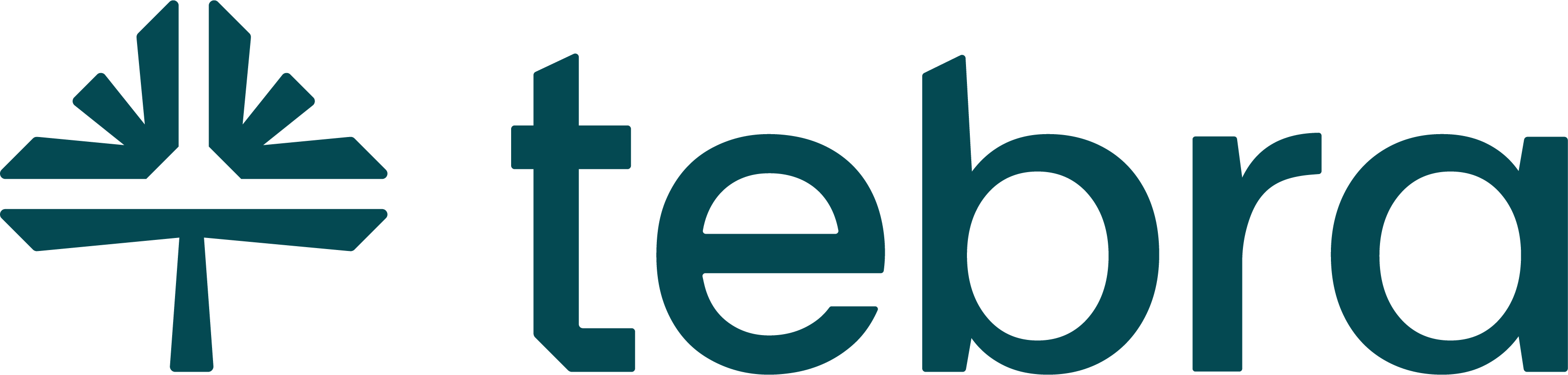Tebra (Kareo) Logo